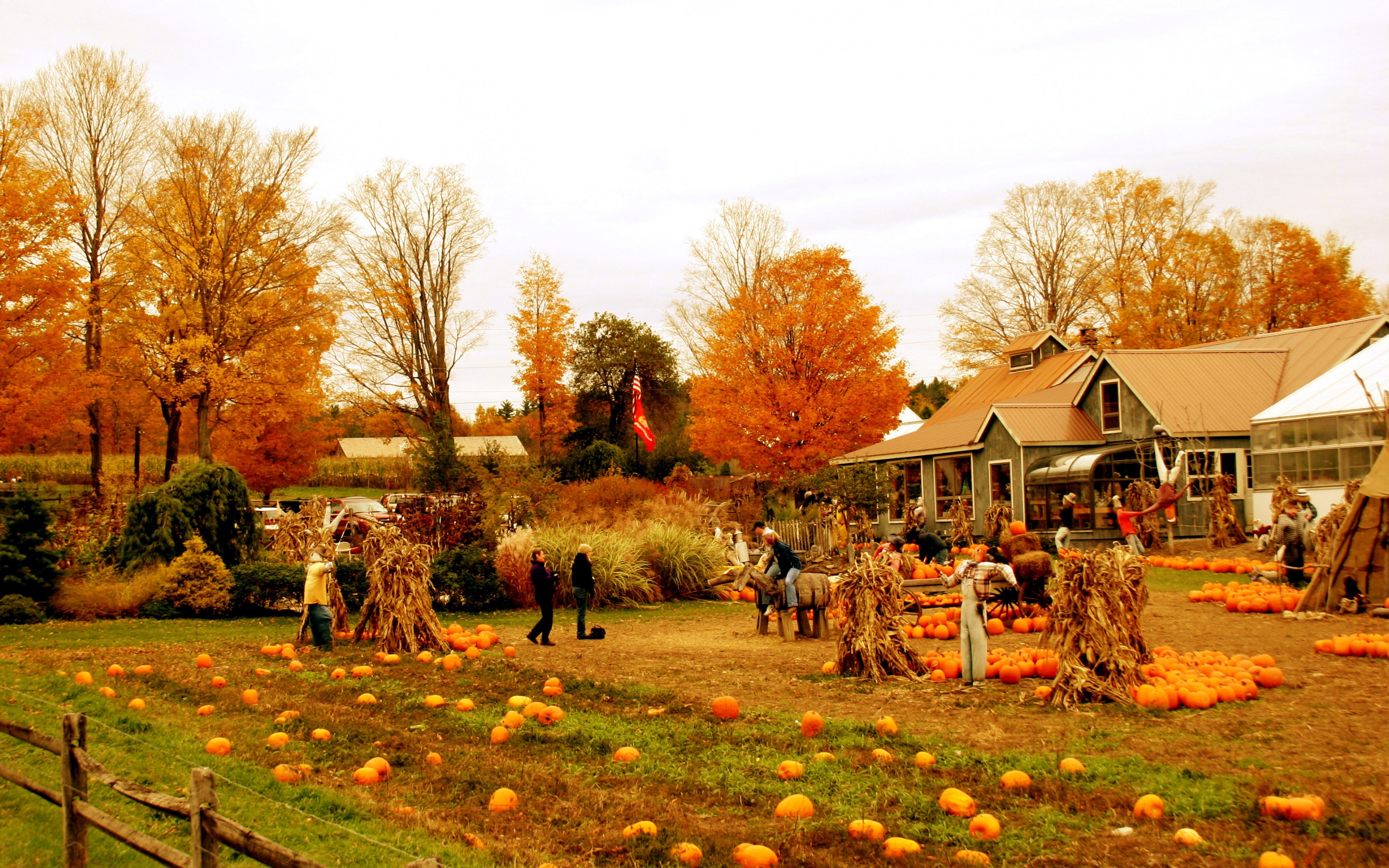 Autumn Pumpkin Festival