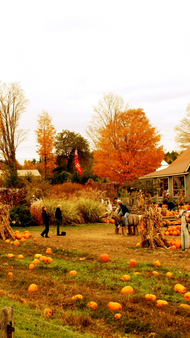 Autumn Pumpkin Festival