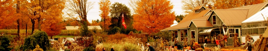 Autumn Pumpkin Festival