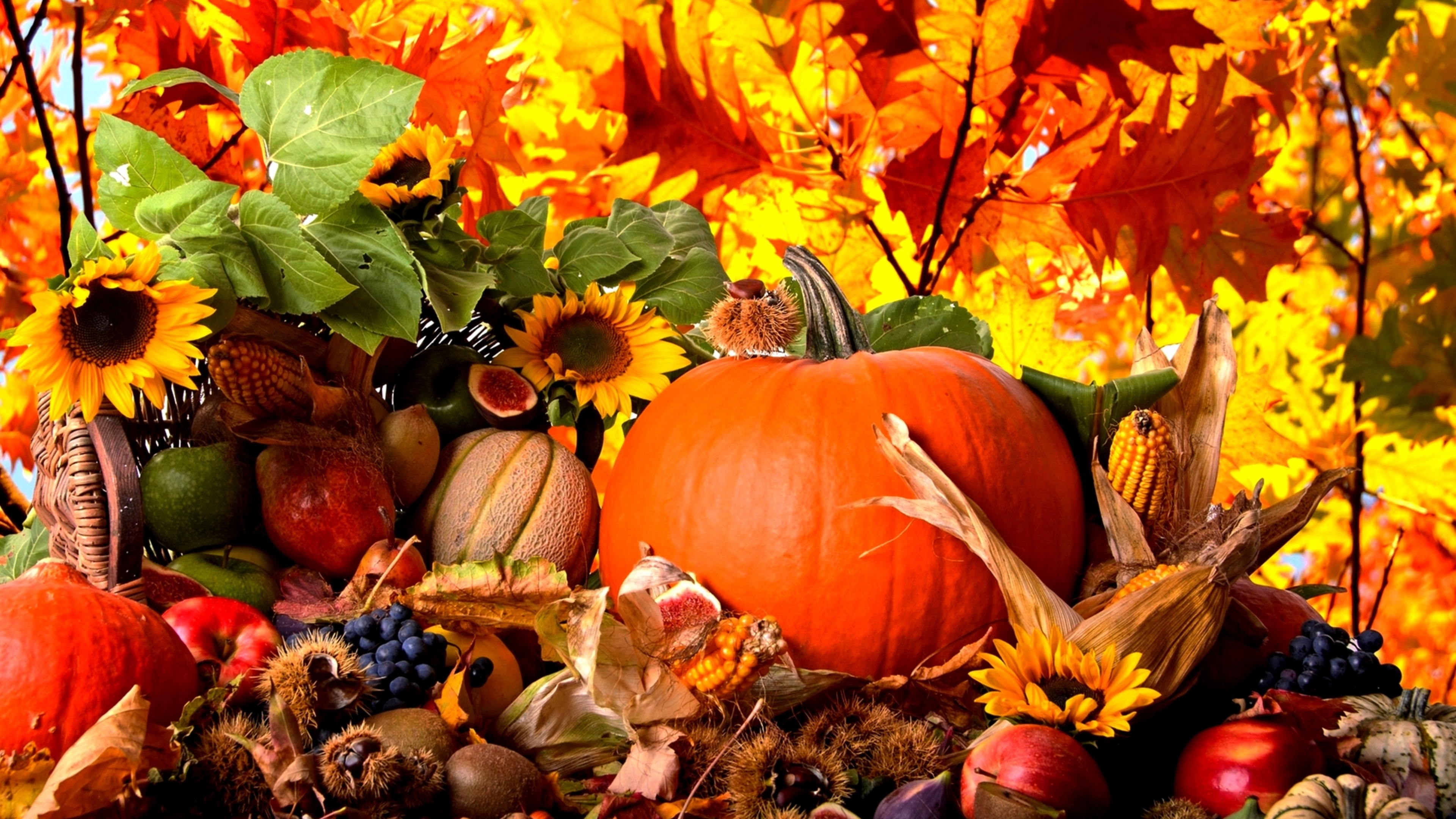 Autumn Season Fruits And Vegetables