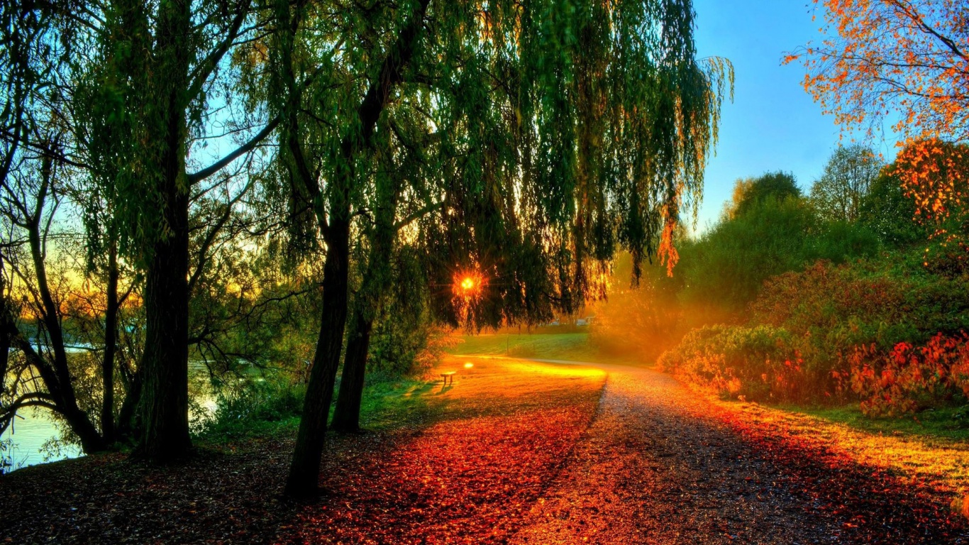 Autumn Sunset In The Park