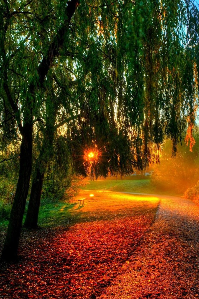 Autumn Sunset In The Park