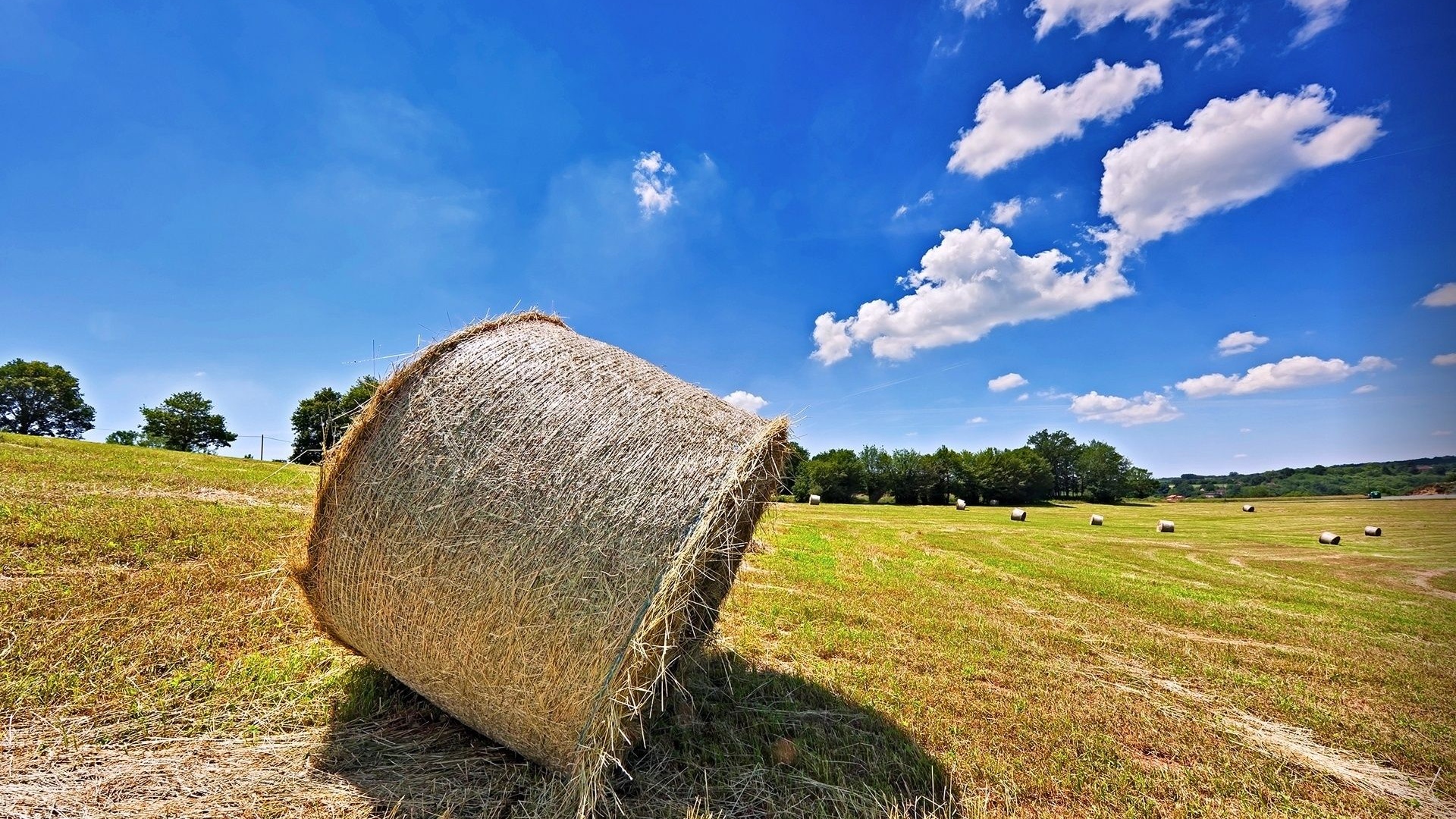 Bales Hay Nature Landscapes