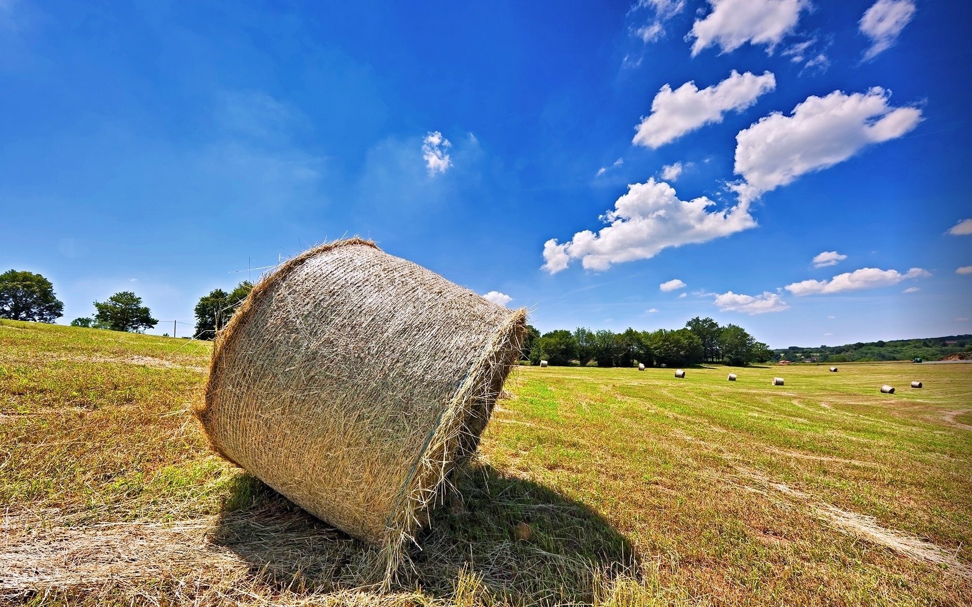 Bales Hay Nature Landscapes