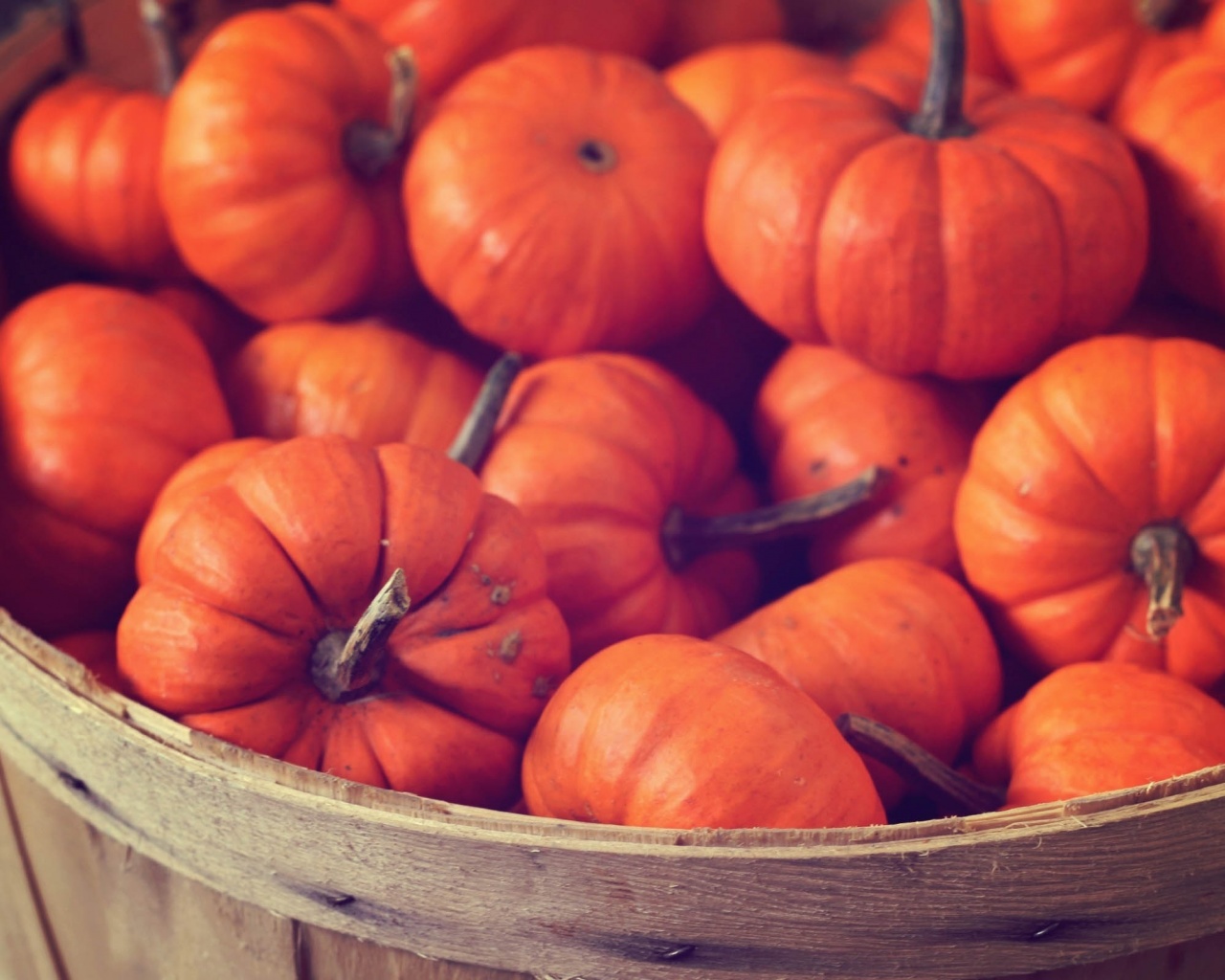 Basket Full Of Pumpkins