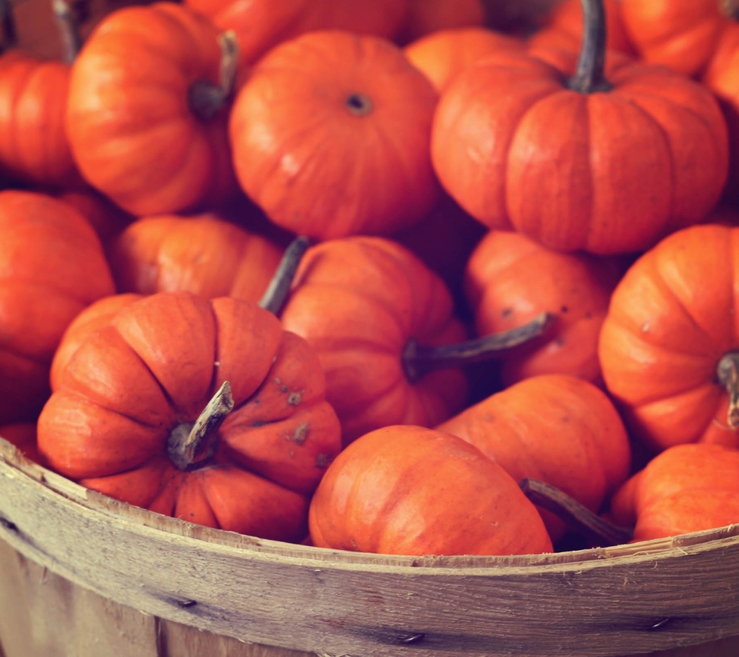 Basket Full Of Pumpkins