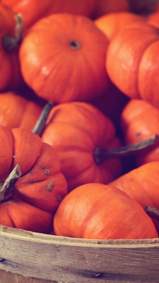 Basket Full Of Pumpkins