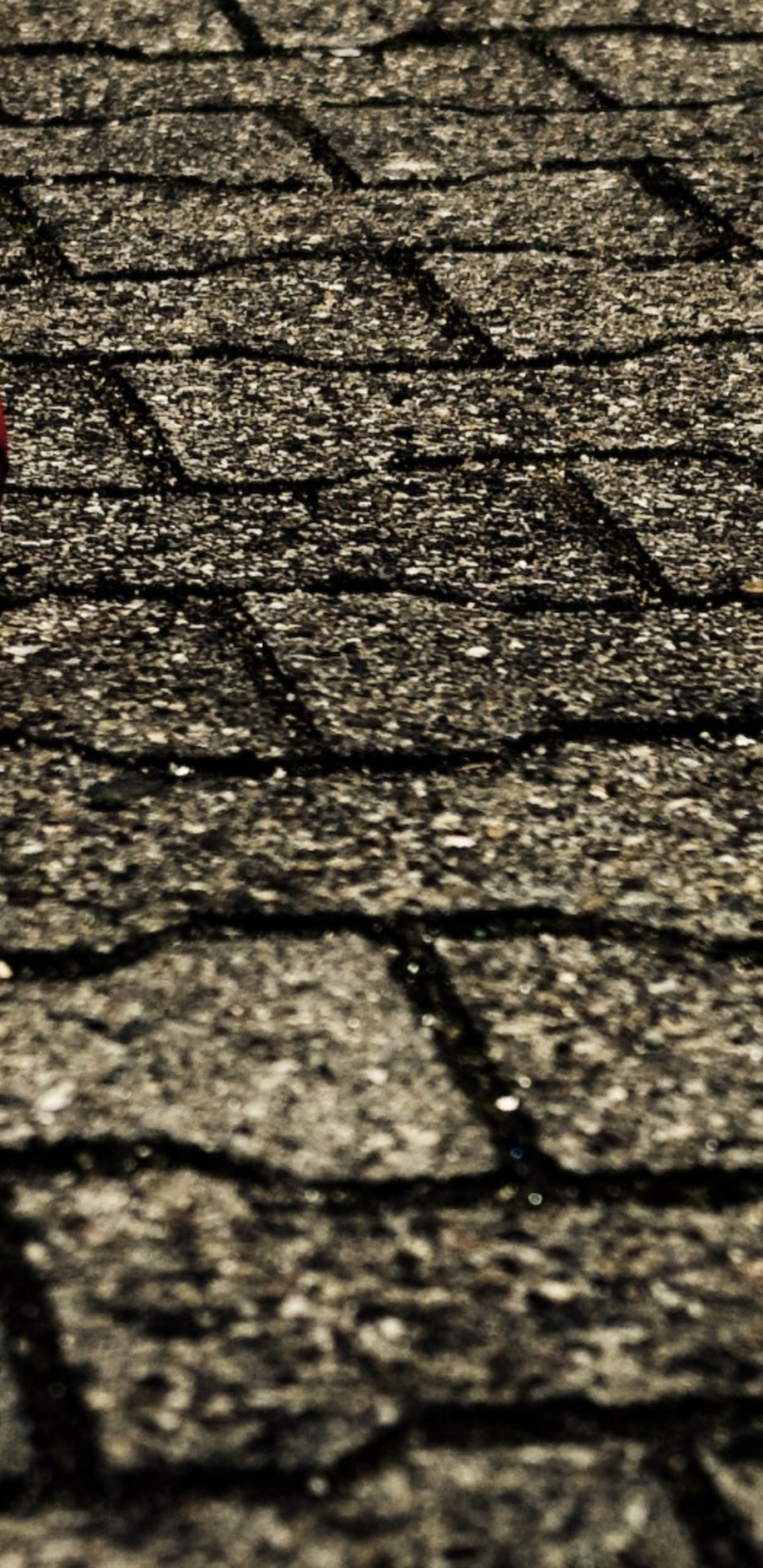 Basketball On The Street