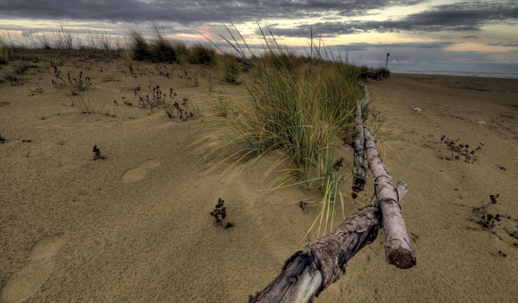 Beach Fence Nature Landscapes