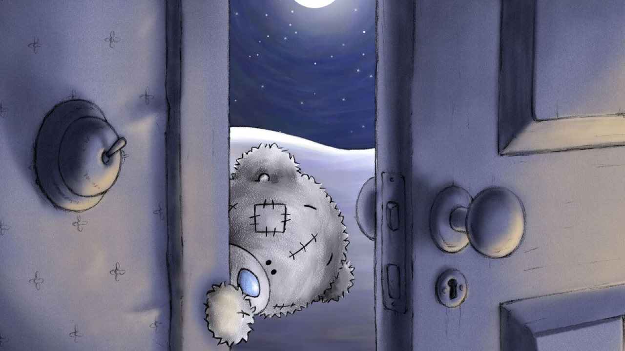 Bear Teddy Door Night Moon