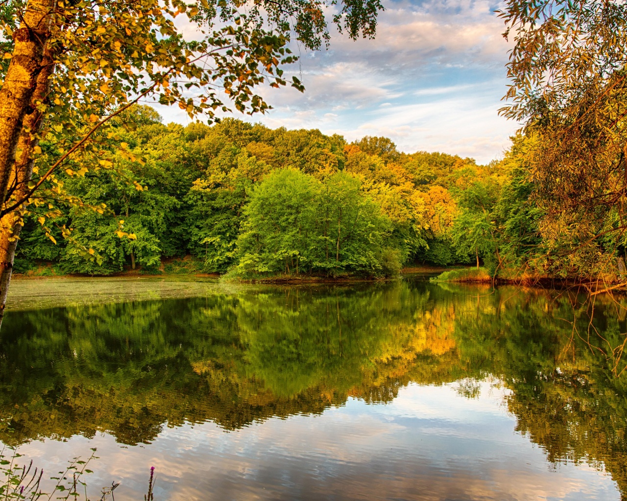 Beautiful Autumn Over The River