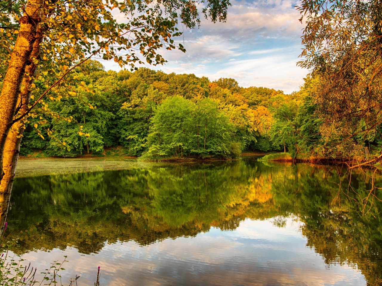 Beautiful Autumn Over The River