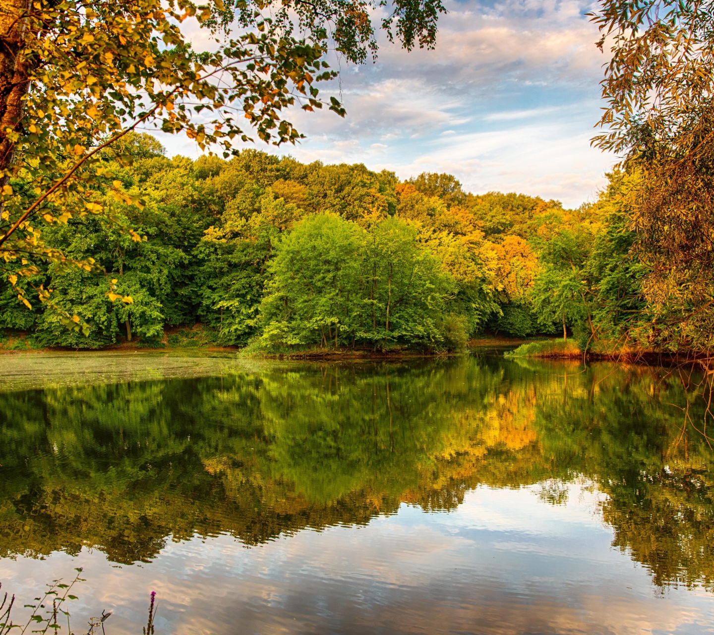 Beautiful Autumn Over The River