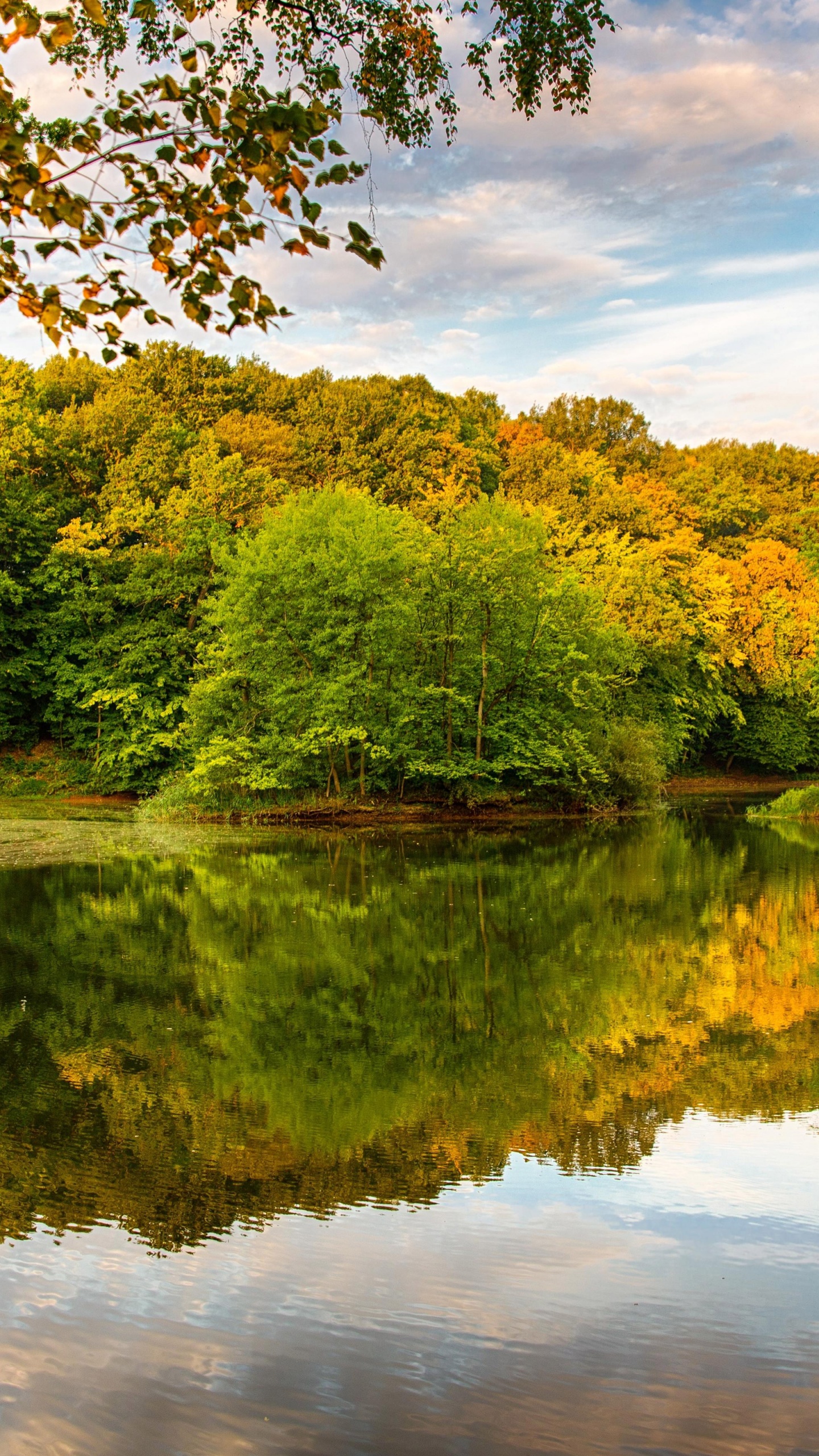 Beautiful Autumn Over The River