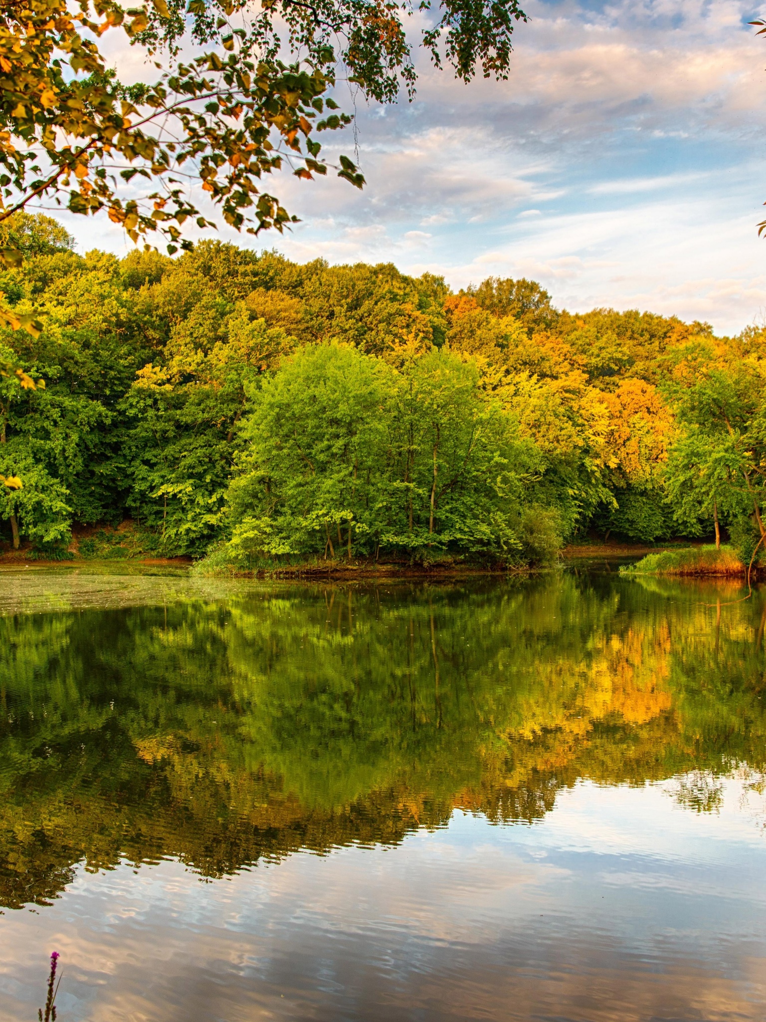 Beautiful Autumn Over The River