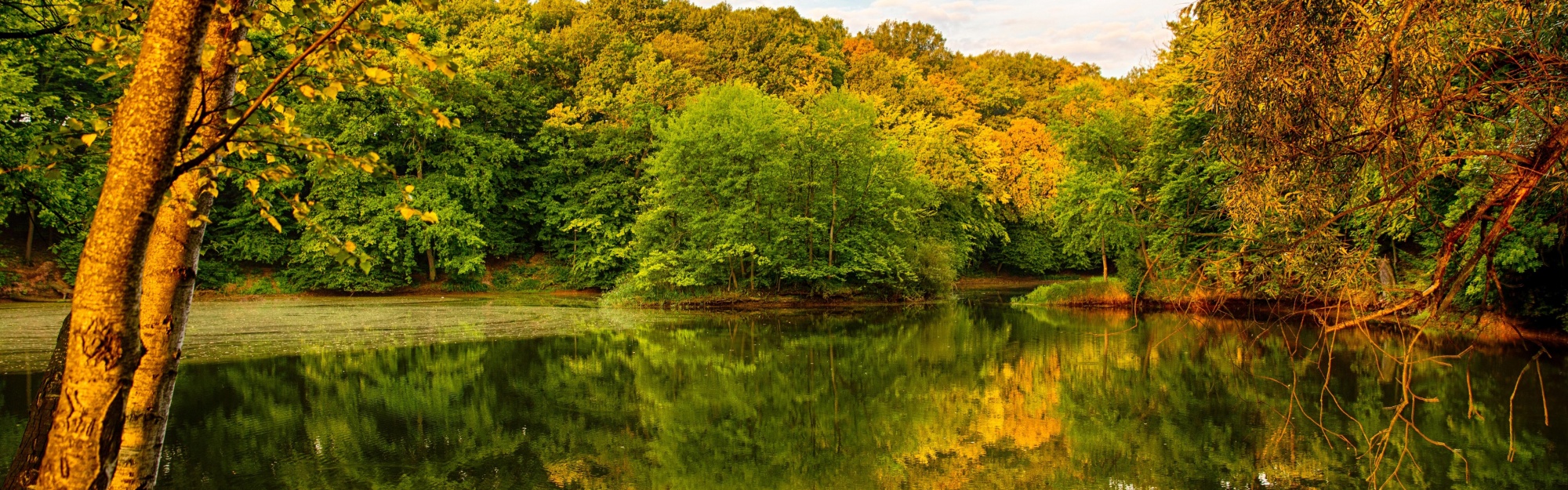 Beautiful Autumn Over The River