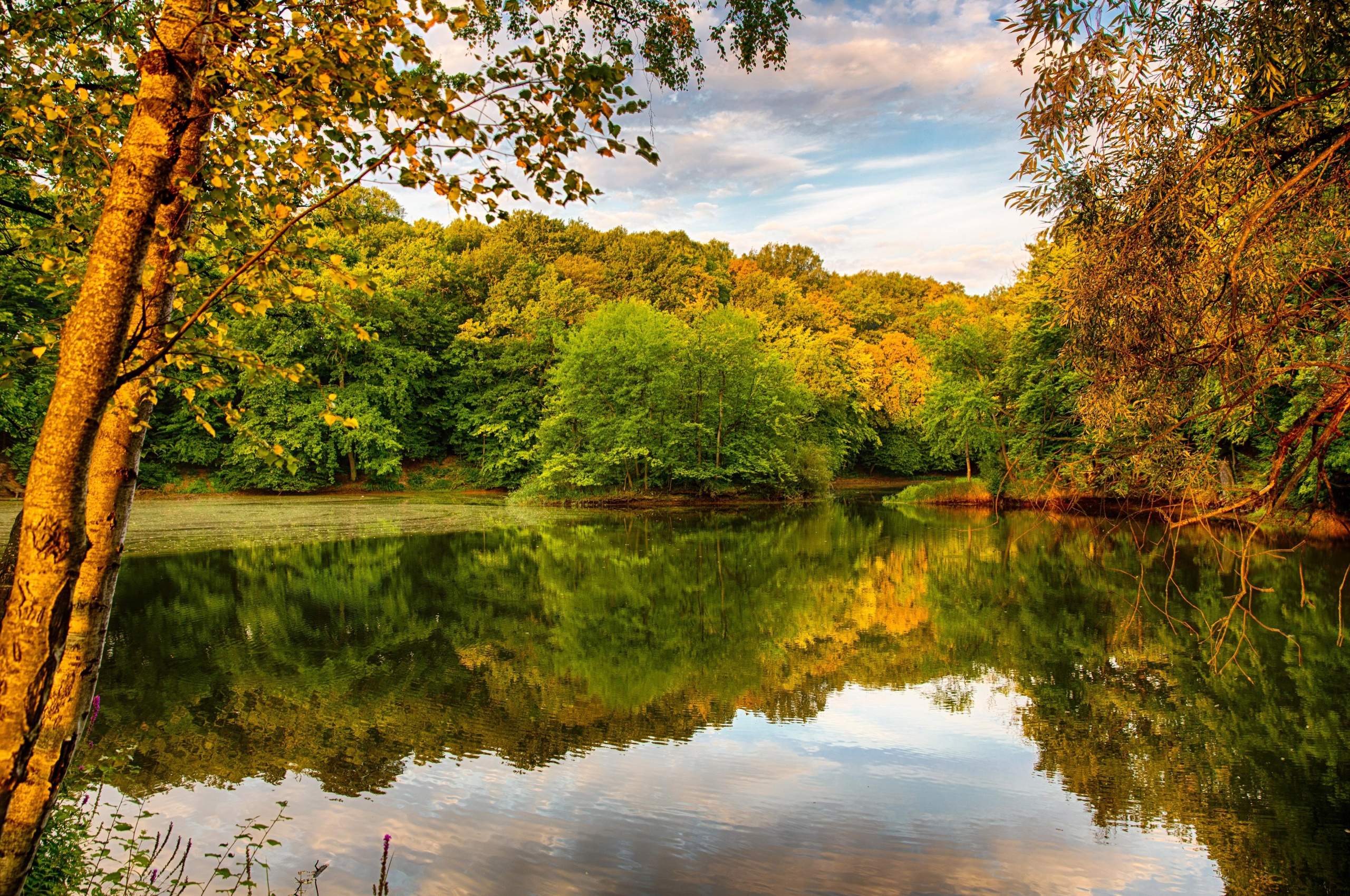 Beautiful Autumn Over The River