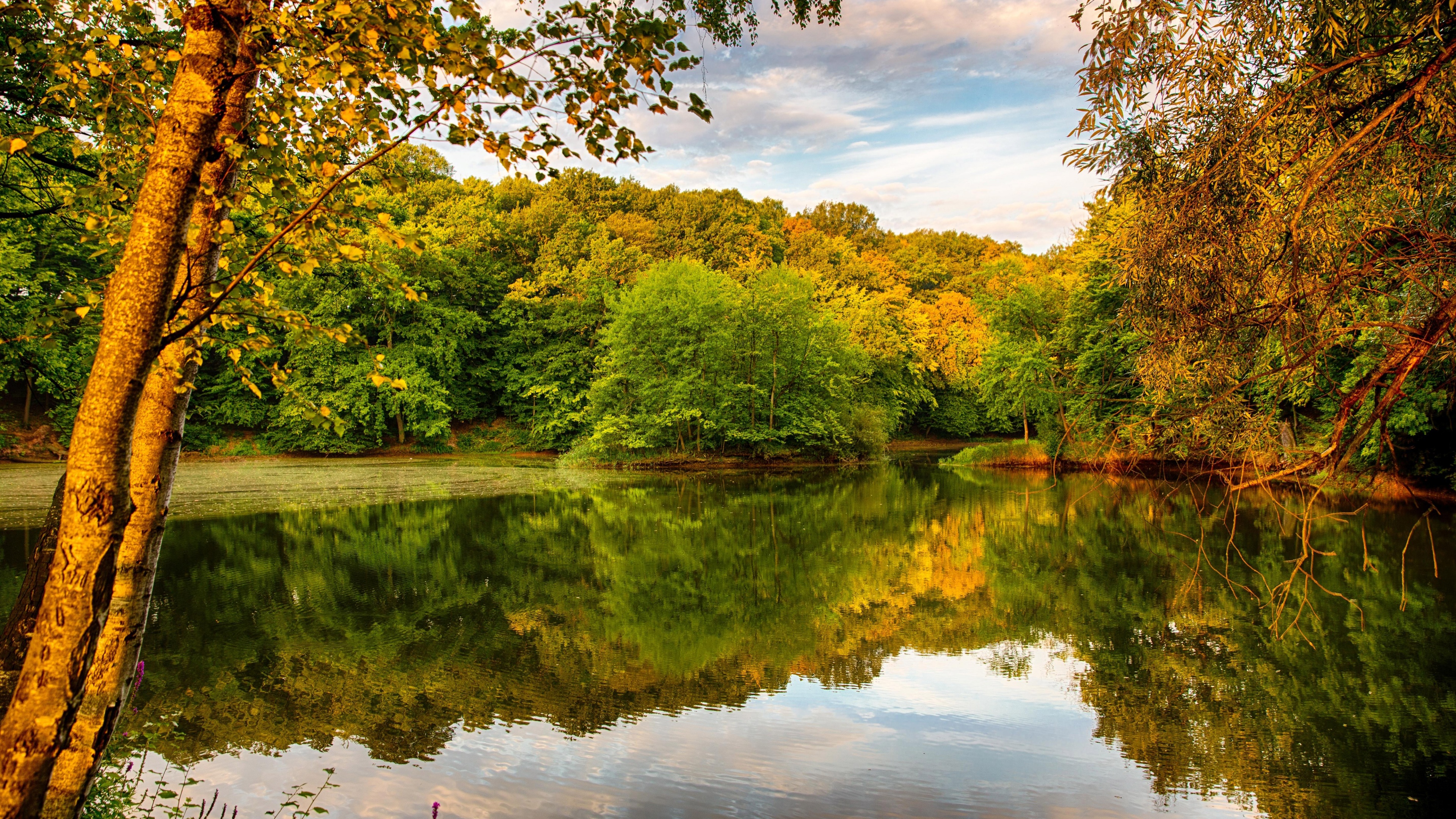 Beautiful Autumn Over The River