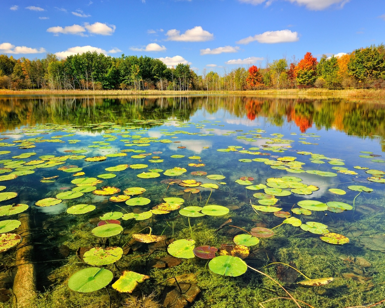 Beautiful Lake Scenery Autumn