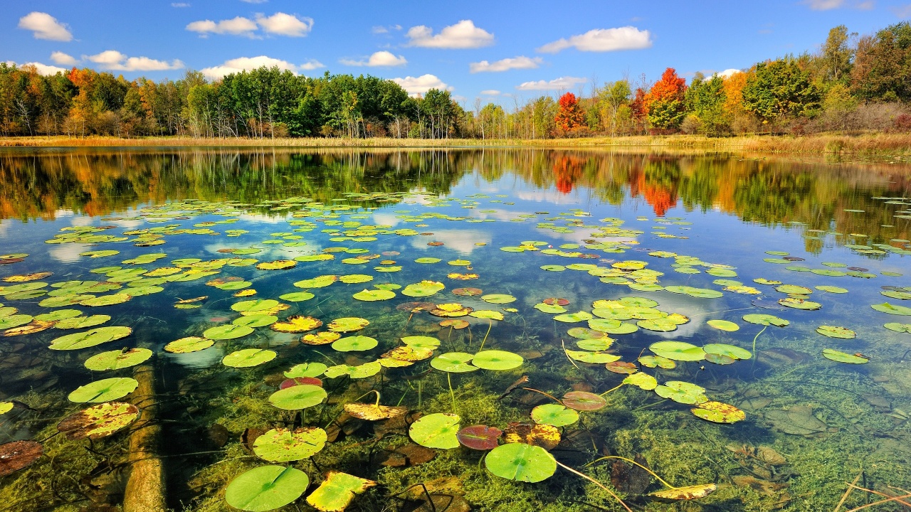 Beautiful Lake Scenery Autumn