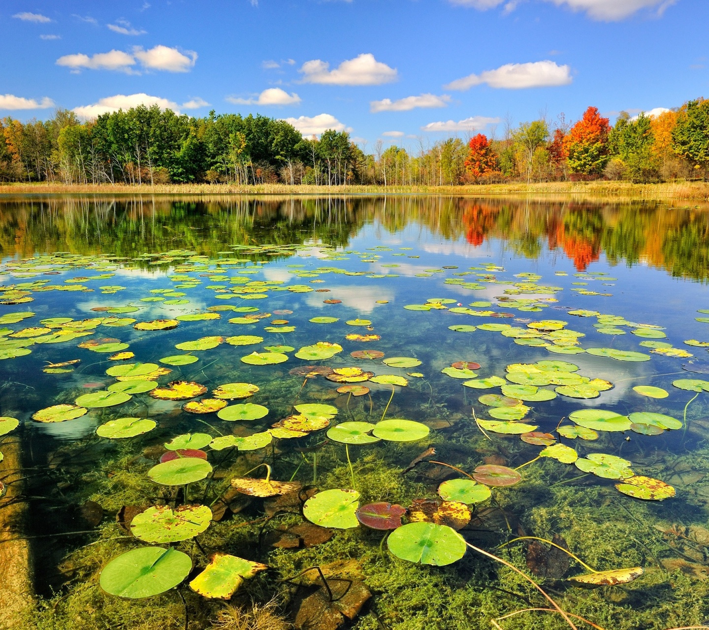 Beautiful Lake Scenery Autumn