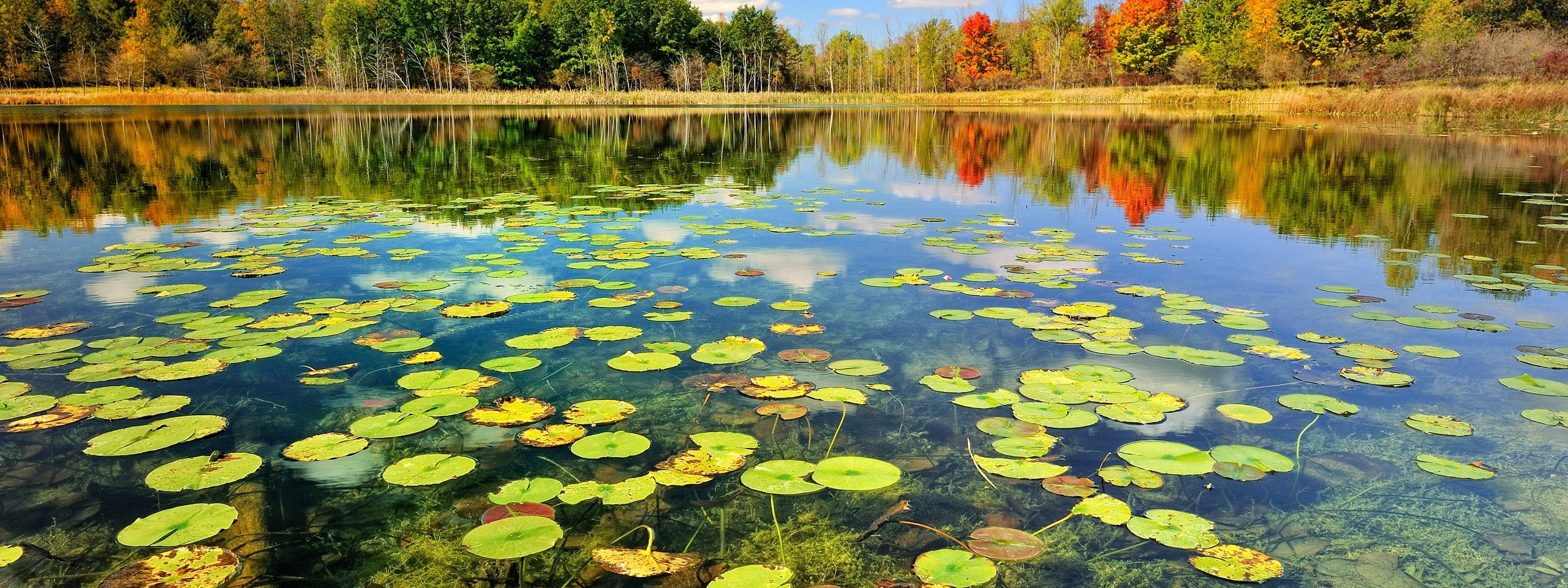 Beautiful Lake Scenery Autumn