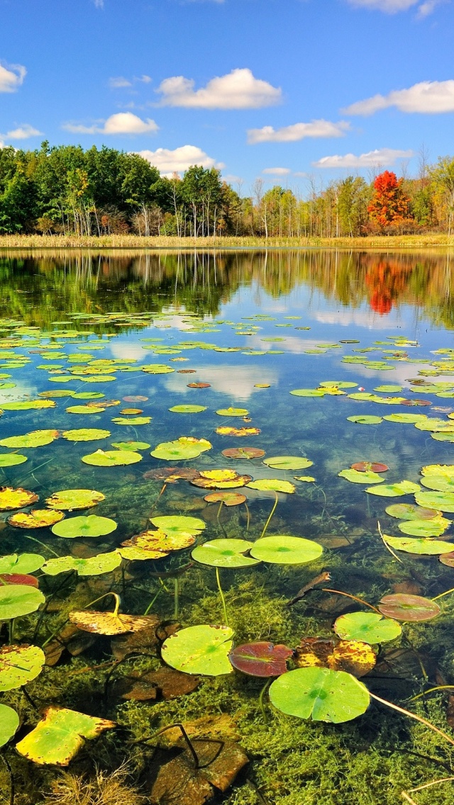 Beautiful Lake Scenery Autumn