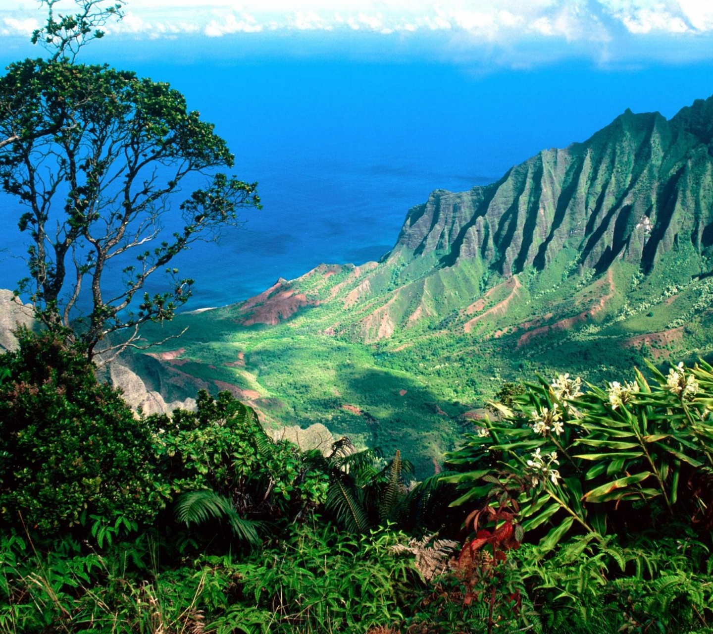 Beautiful Scenery Kauai Kalalau Valley Islands Hawaii United States World