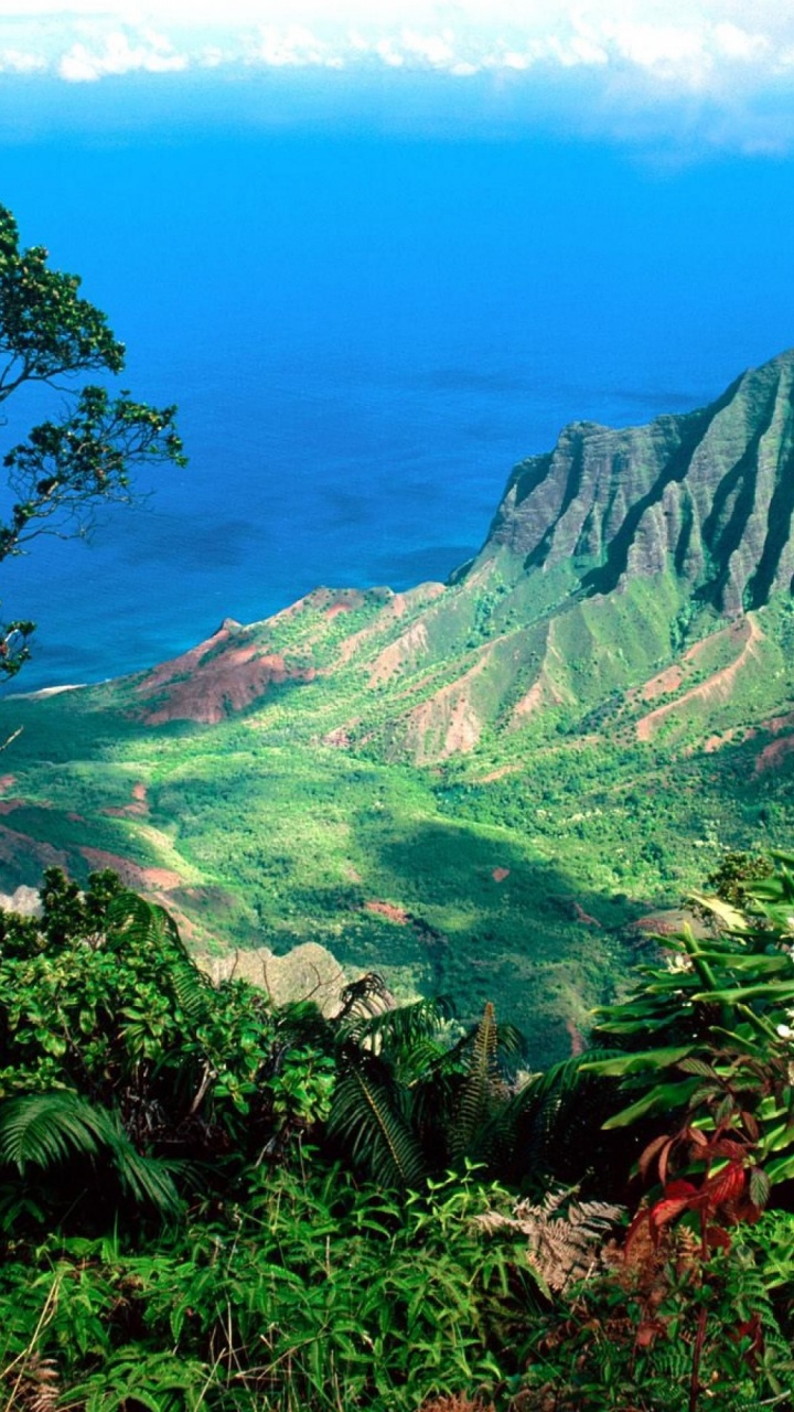 Beautiful Scenery Kauai Kalalau Valley Islands Hawaii United States World