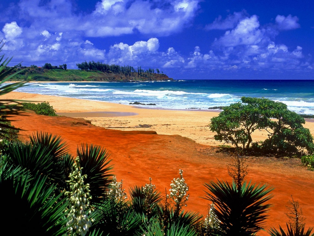 Beautiful Scenery Kealia Resort Beach Kauai Hawaii Archipelago United States World