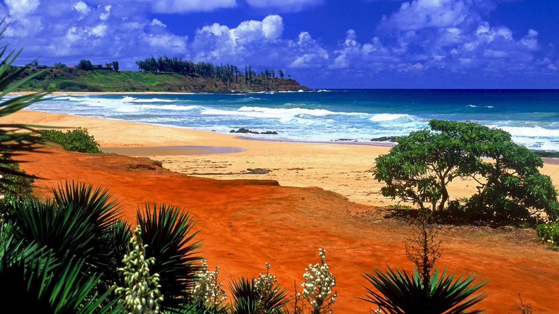 Beautiful Scenery Kealia Resort Beach Kauai Hawaii Archipelago United States World