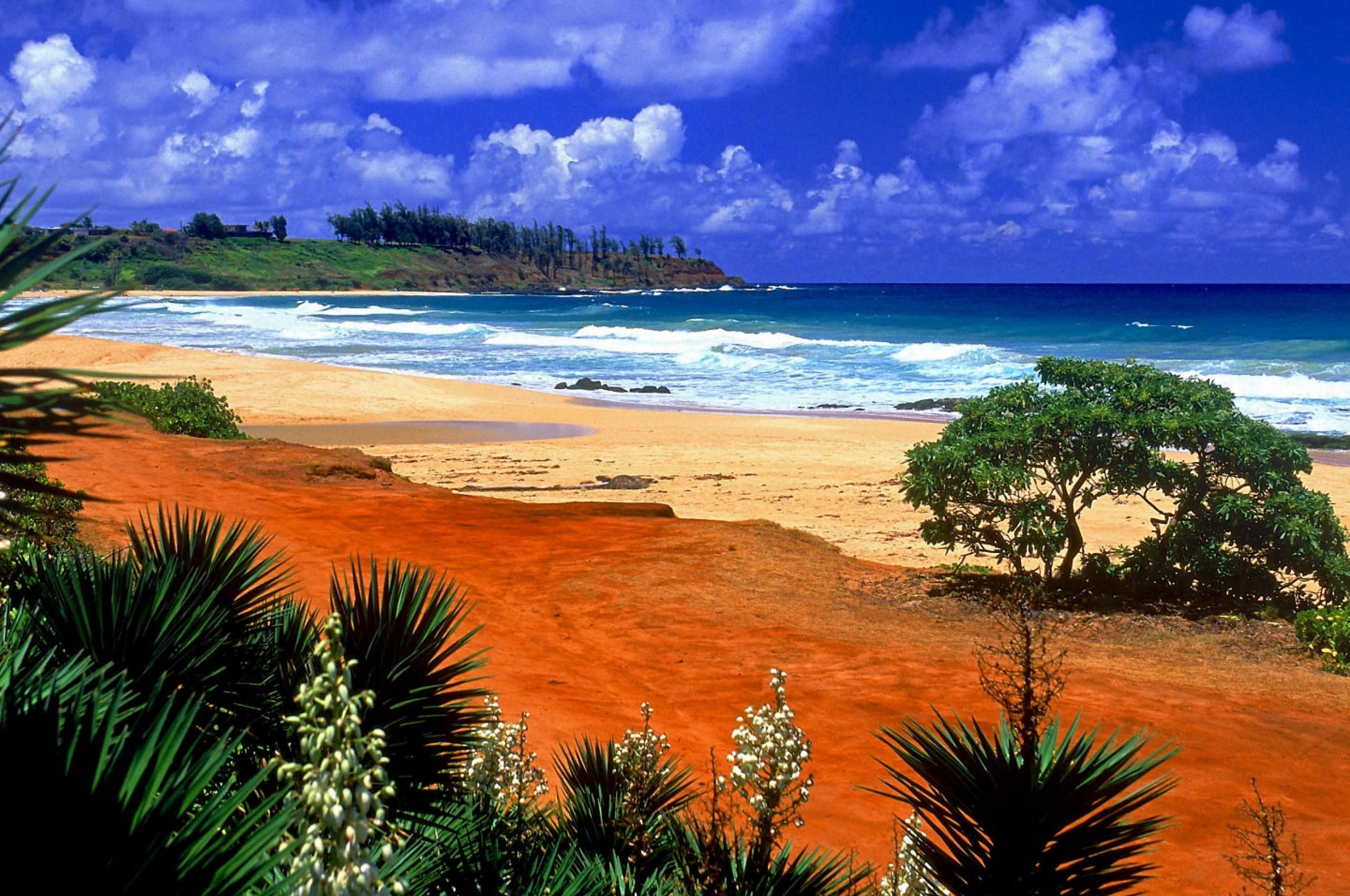 Beautiful Scenery Kealia Resort Beach Kauai Hawaii Archipelago United States World