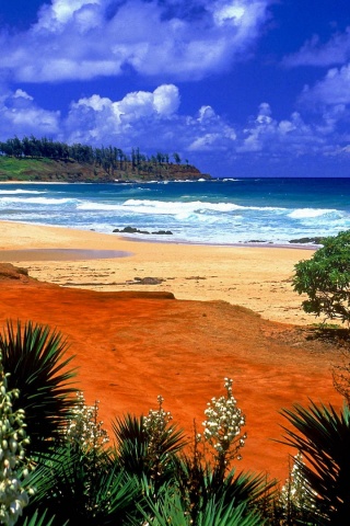 Beautiful Scenery Kealia Resort Beach Kauai Hawaii Archipelago United States World