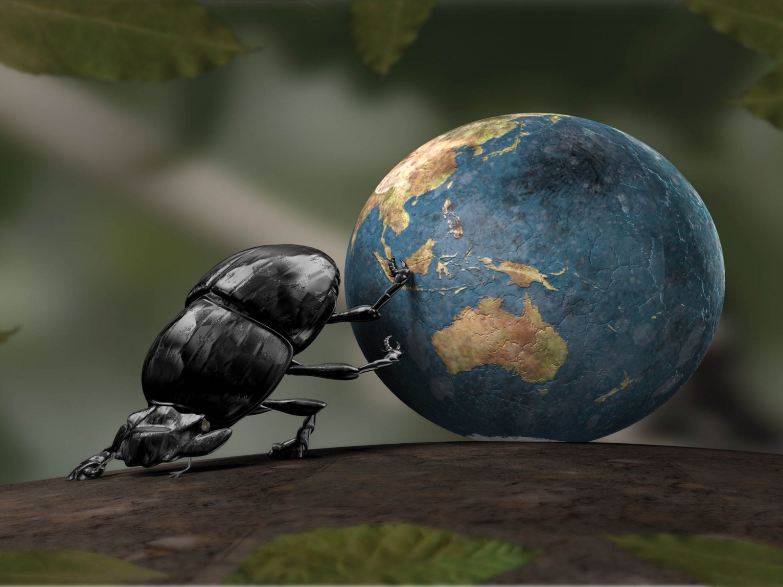 Beetle Illustration