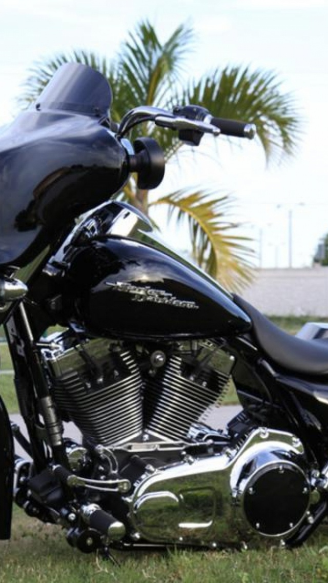 Bike Black Low
