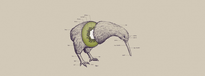 Birds Fruits Humor Funny Kiwi Illustrations Photomanipulations White Background