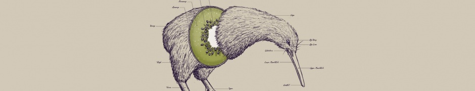 Birds Fruits Humor Funny Kiwi Illustrations Photomanipulations White Background