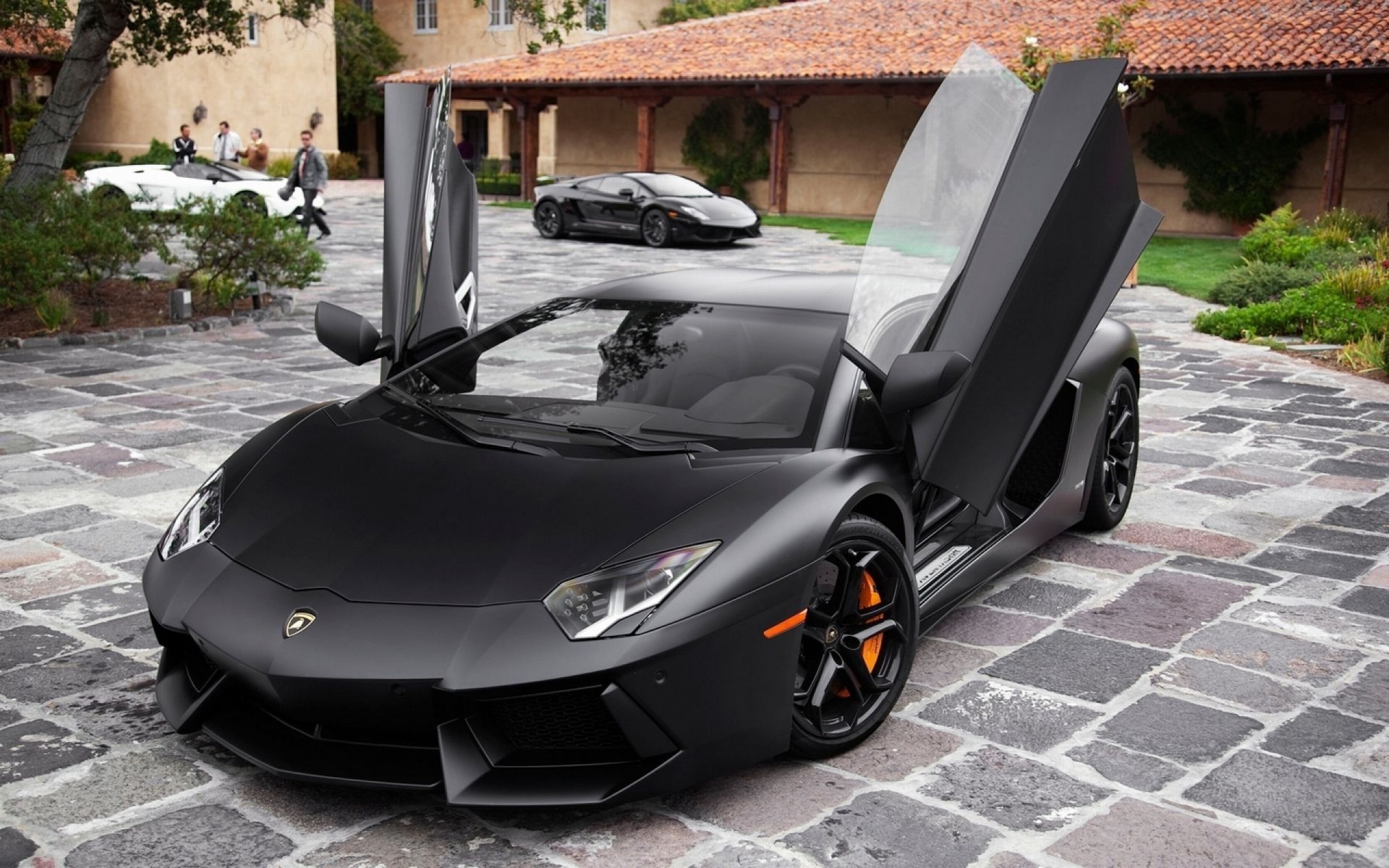 Black Lamborghini Aventador