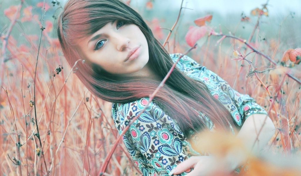 Blue Eyed Brunette Twigs Flowers Field