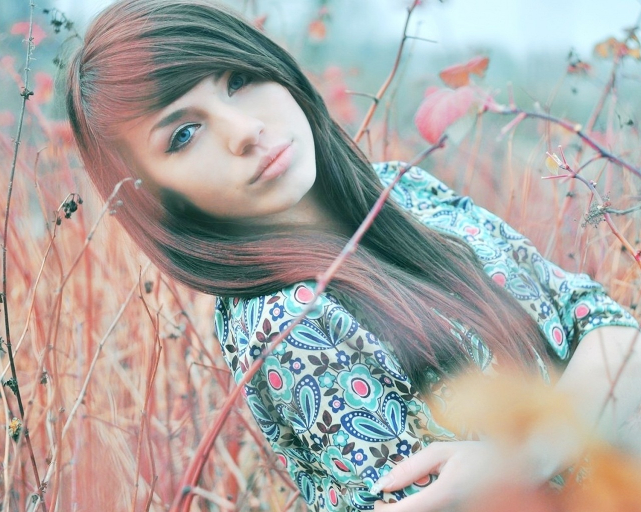 Blue Eyed Brunette Twigs Flowers Field