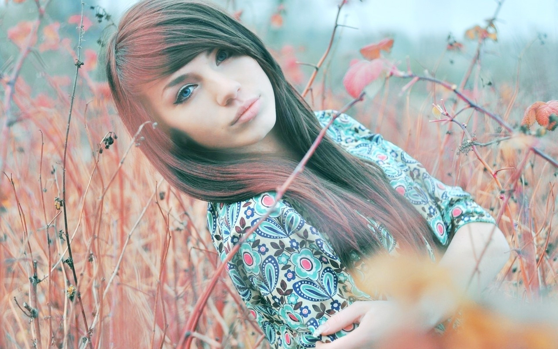 Blue Eyed Brunette Twigs Flowers Field