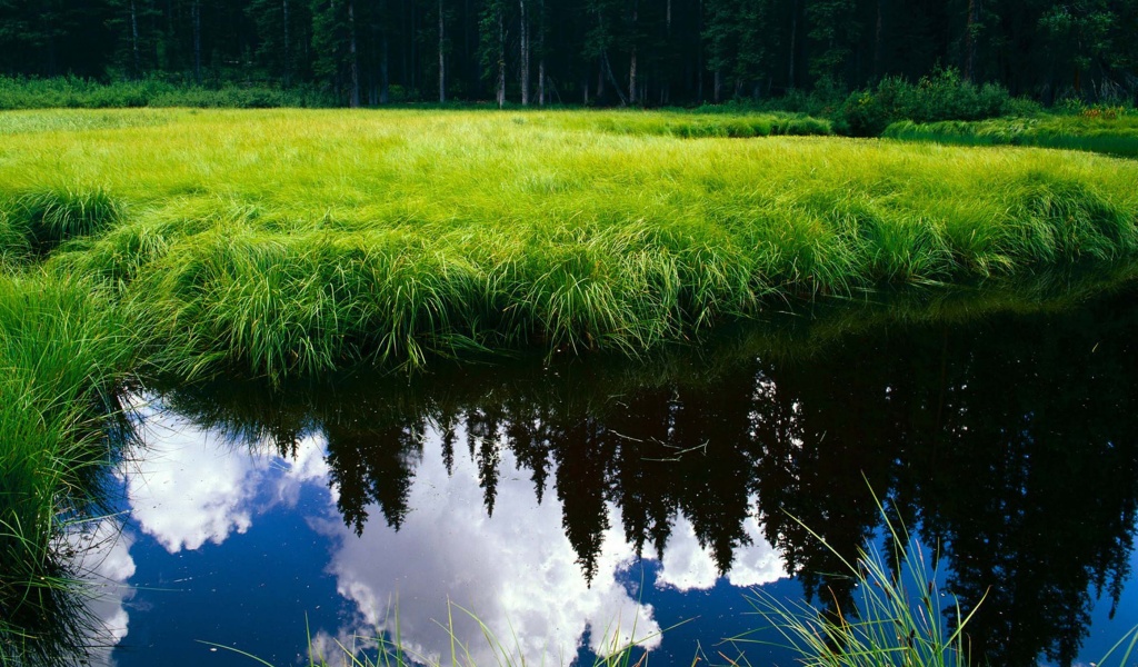 Blue Sky Reflection In The Water