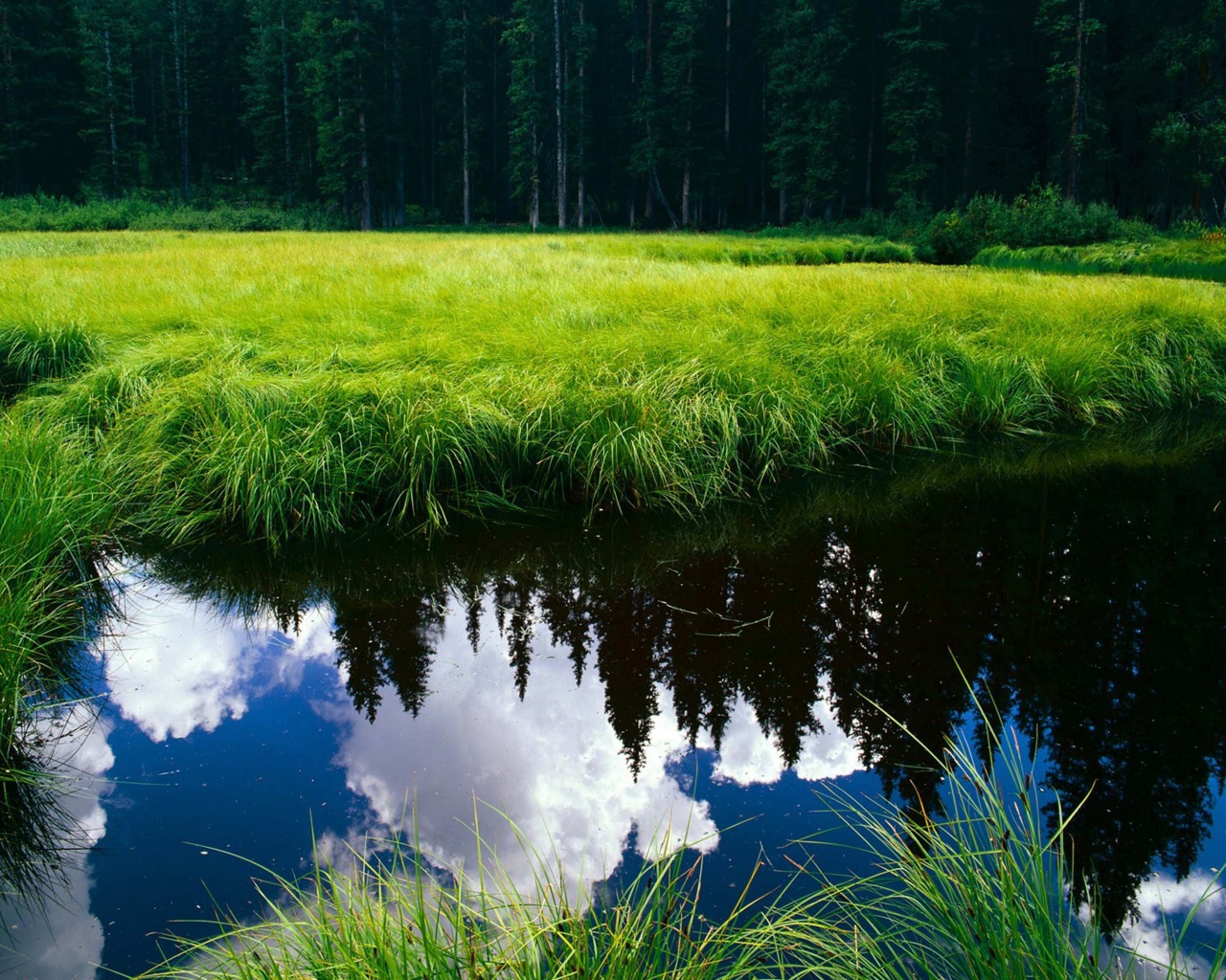 Blue Sky Reflection In The Water