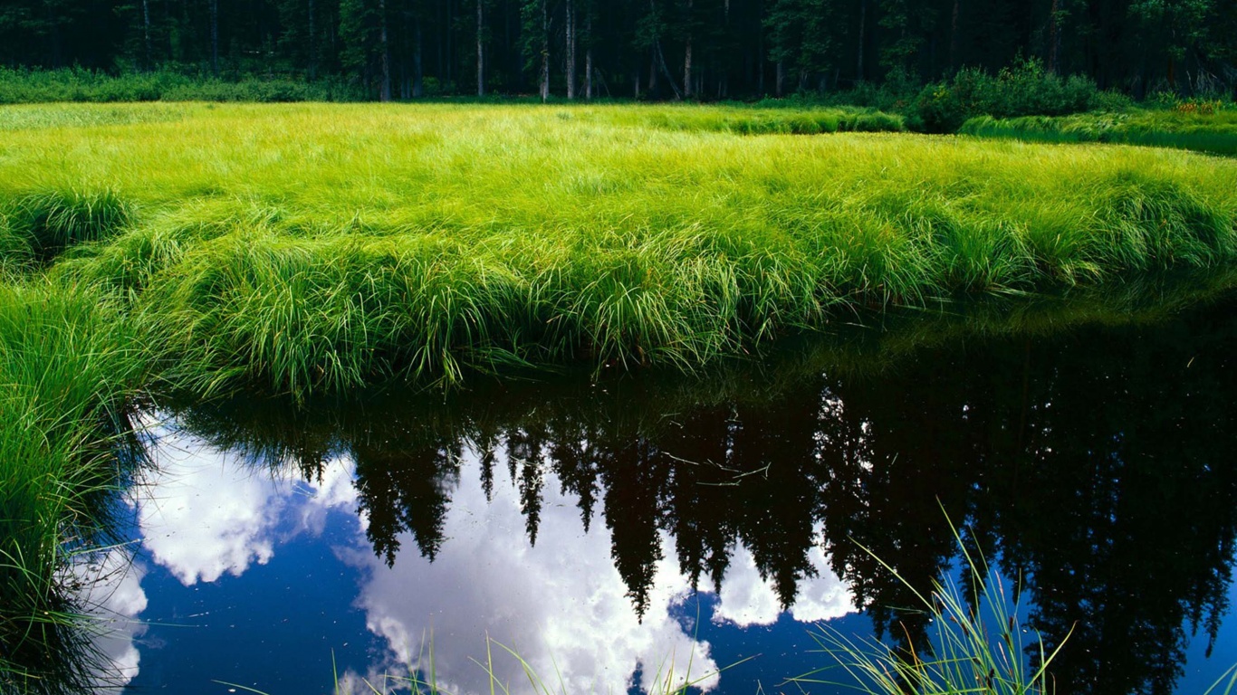 Blue Sky Reflection In The Water