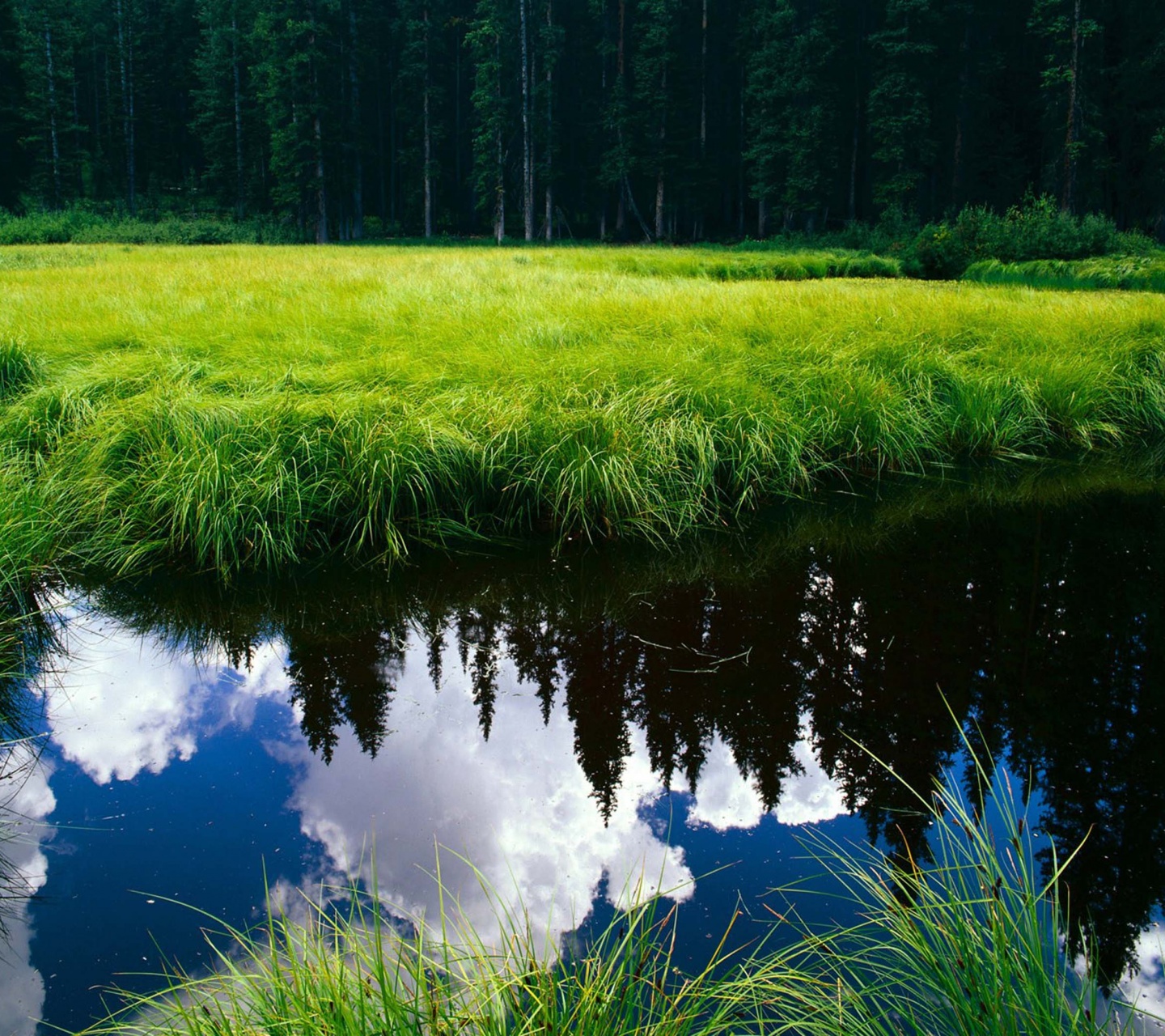 Blue Sky Reflection In The Water