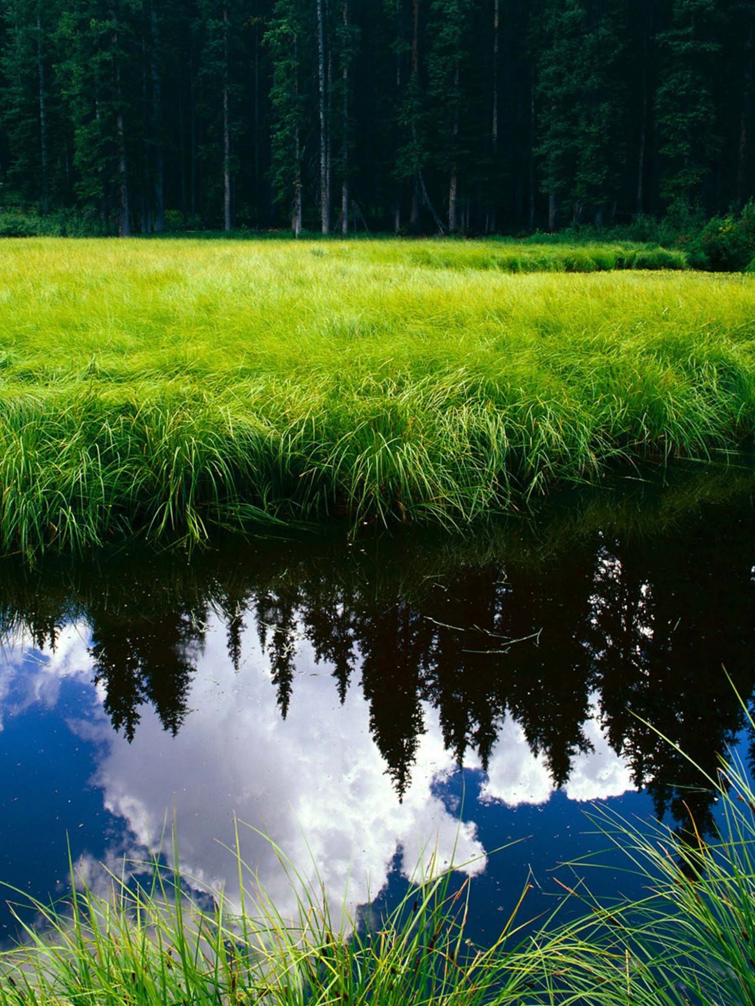 Blue Sky Reflection In The Water