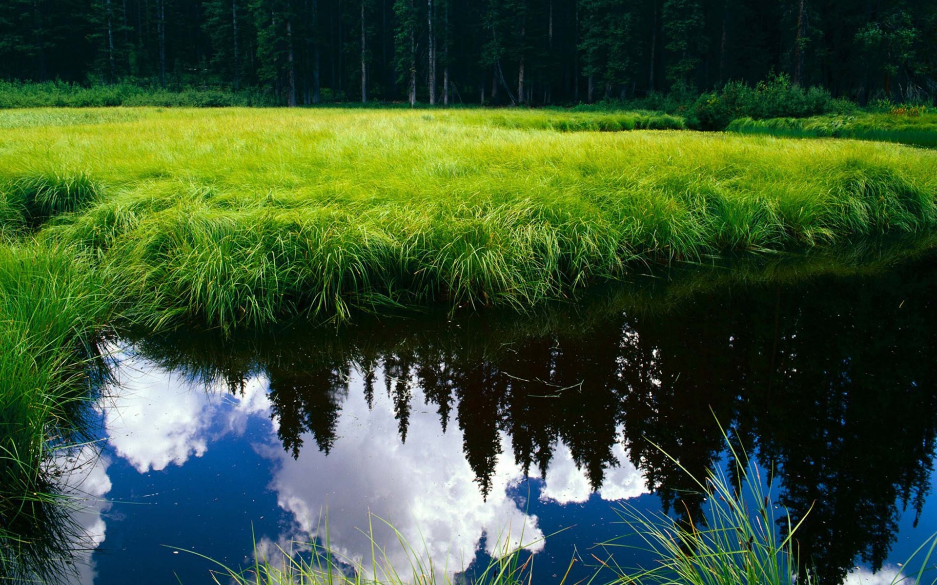 Blue Sky Reflection In The Water