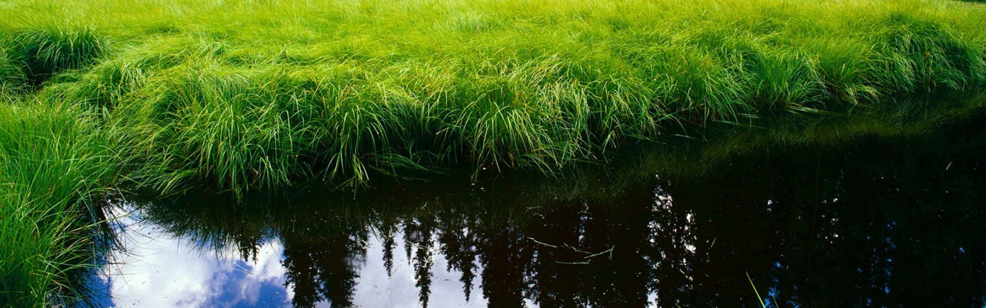 Blue Sky Reflection In The Water