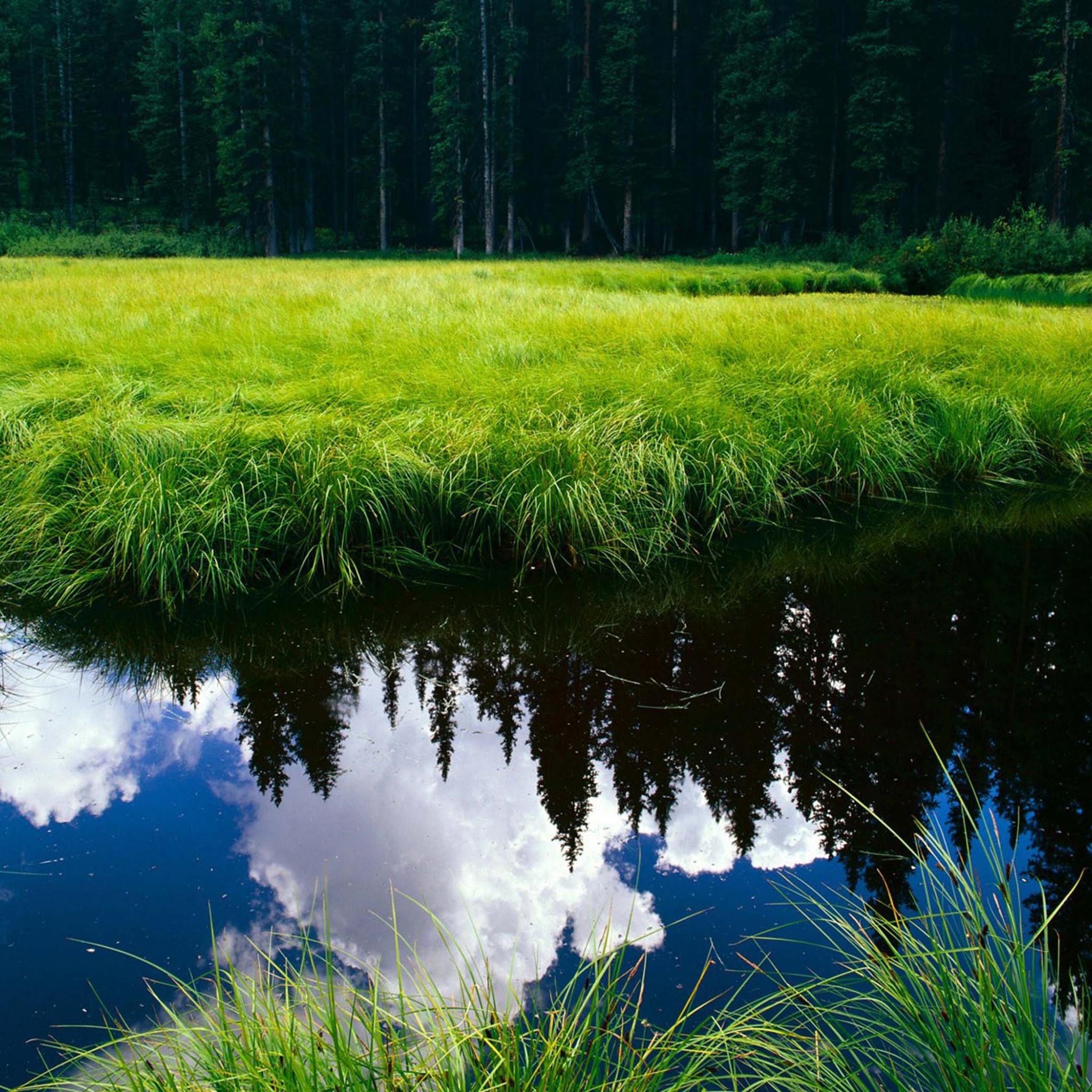 Blue Sky Reflection In The Water