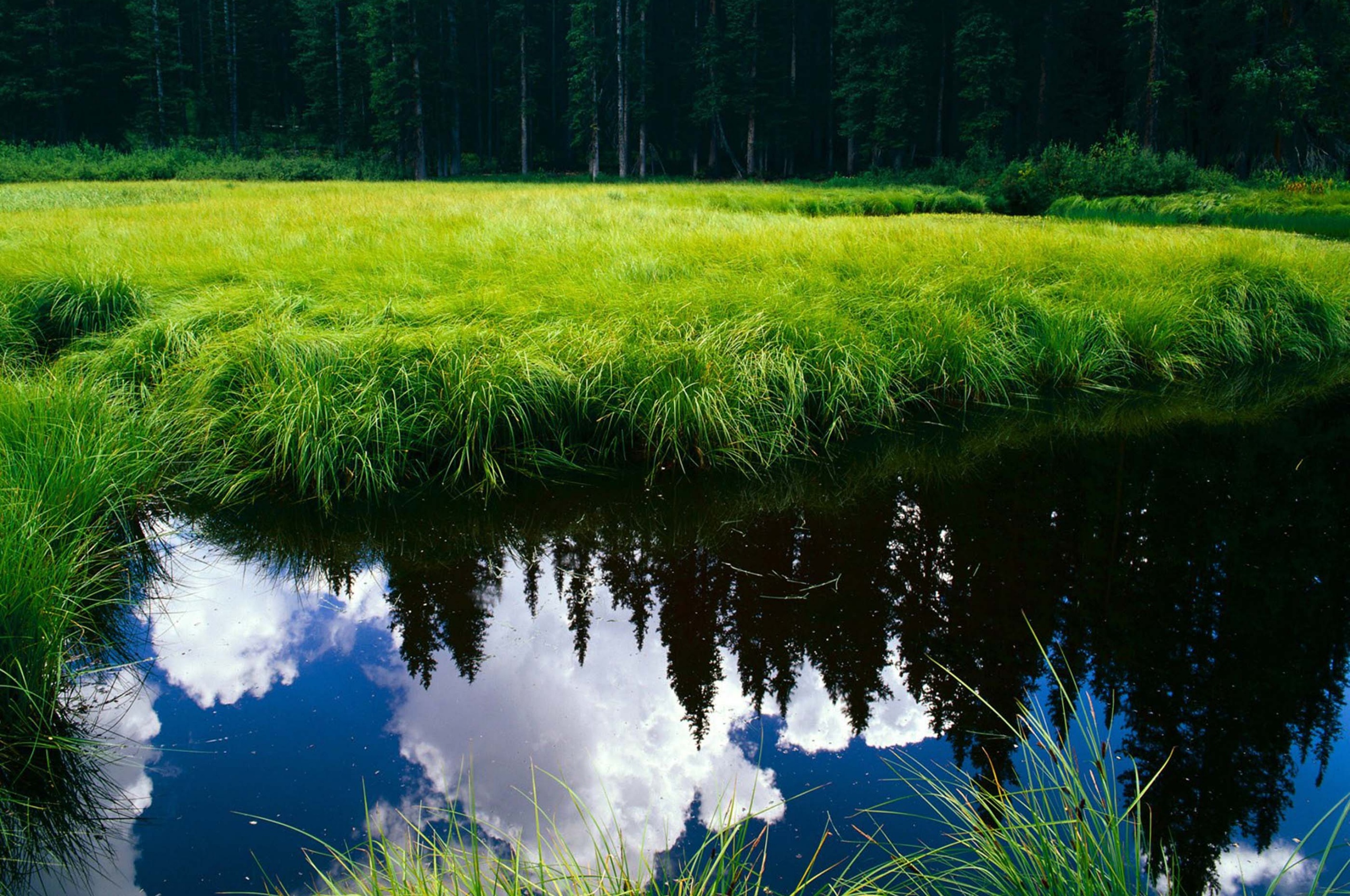 Blue Sky Reflection In The Water